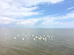 -青海湖仙女湾景区