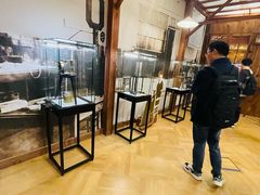 -玛丽·居里博物馆