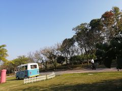 -杭州湾海上花田景区