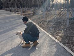 -长白岛森林公园