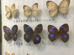 -蝴蝶泉公园