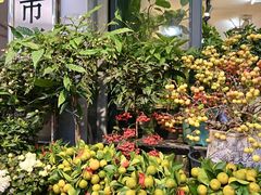 -溪岸路花鸟市场