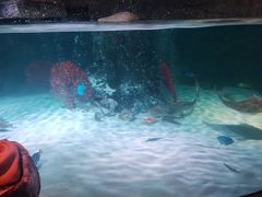 -沈阳海洋探索中心