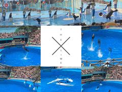 -海合安成都极地海洋公园