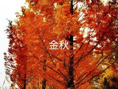 -北宫国家森林公园