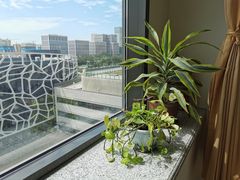 -首都医科大学附属北京天坛医院