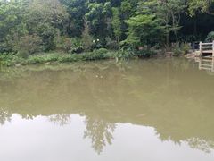 -云溪植物园