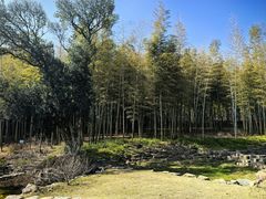 -南北湖风景区
