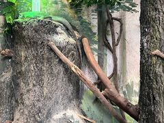 -成都动物园
