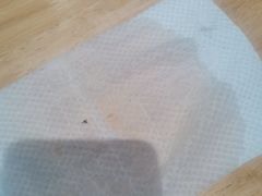 -卤好·黑金卤味饭(华侨城店)