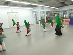-舞蕾舞蹈·专注中国舞18年(天通苑中心校区)
