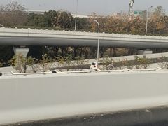 -虹桥综合交通枢纽-P6停车库