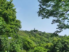 -苏州上方山国家森林公园