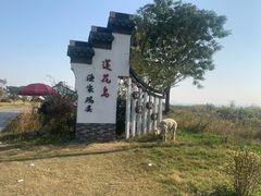 -莲花岛景区