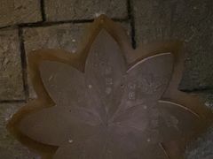 -暴风岛沉浸式体验馆(百联世纪店)