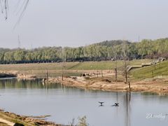 -洨河生态公园