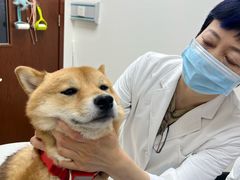 -美联众合动物医院·24h转诊中心