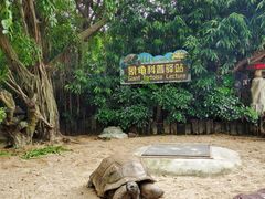 -广州长隆飞鸟乐园