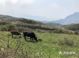 敢情差点命丧黄泉 连个围观记录者都没 最后
