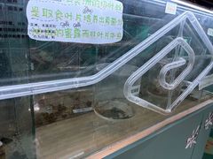 -上海大自然野生昆虫馆(东方明珠·爬宠昆虫探索中心)