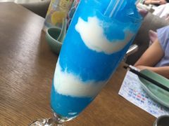 -海桐