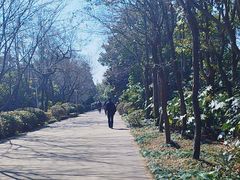 -长广溪湿地公园