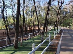 -大连铭湖国际观光牧场