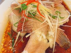 清蒸东星斑-渔家海鲜舫(宝湖路店)