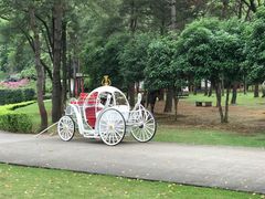 -Club Med地中海俱乐部·桂林度假村