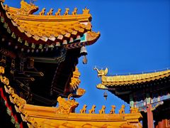 -香山公园