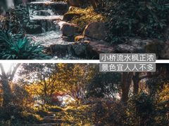 -中国茶叶博物馆(双峰馆区)