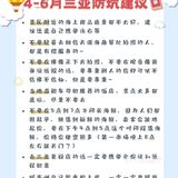 三亚旅游｜🌴吐血整理超棒👍🏻避雷攻略❗