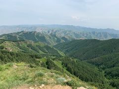 -苏木山森林公园