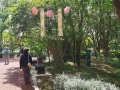 -金鸡湖桃花岛