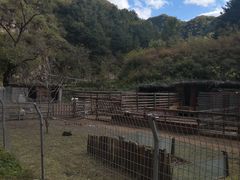 -北京山里寒舍度假酒店