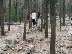 -云龙山