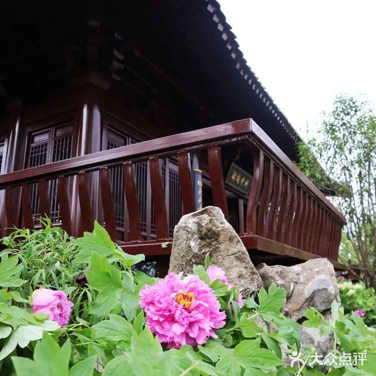 2021年第十届花博会在上海开幕啦❗❗