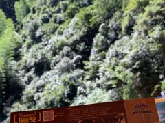 -将军关探险漂流