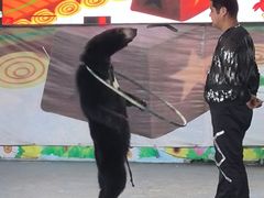 -武汉紫薇都市田园