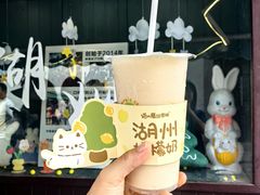 -猫的魔法密林(衣裳街店)