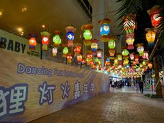 -锦江乐园舞狸花花游园会(夜场专享)