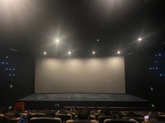 -深影国际影城(学院南路店CGS中国巨幕店)
