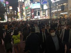 -涩谷区