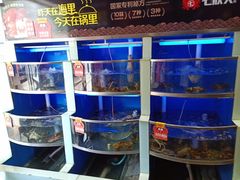 -七欣天(杭州信义坊店)