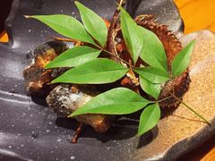 -千代武日本料理(爱建店)