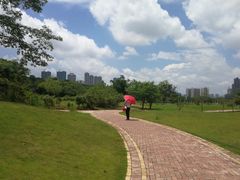 -广西壮族自治区药用植物园