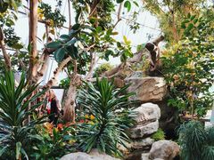 -北京植物园-展览温室