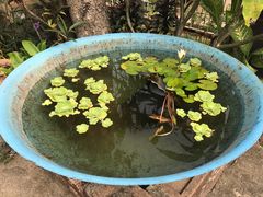 -清迈女子监狱马杀鸡(无分店)