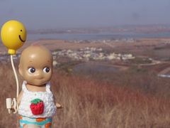 -恋山坝上草原