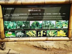-呀路古热带植物园